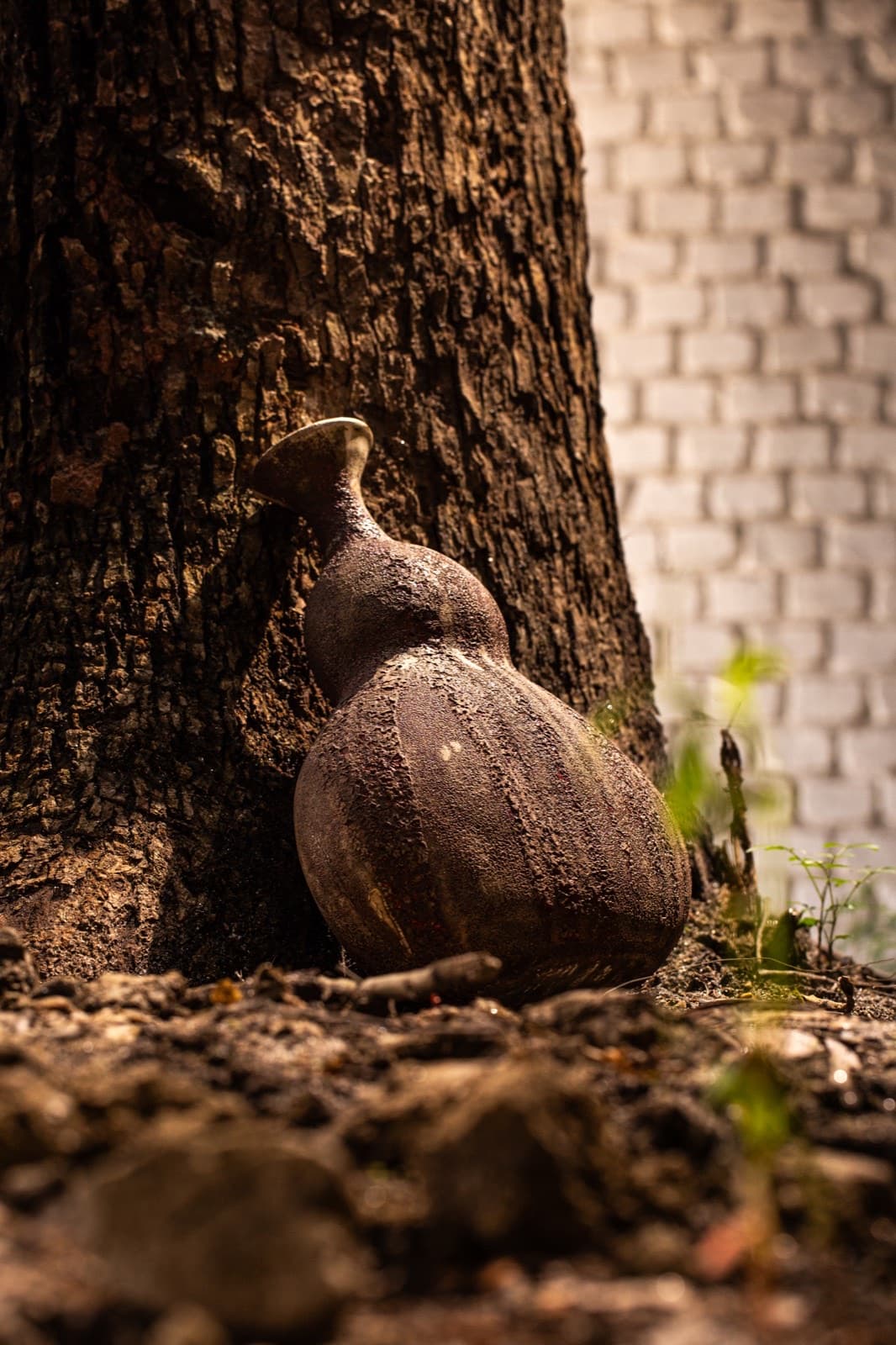 Studio Noma ceramic artwork